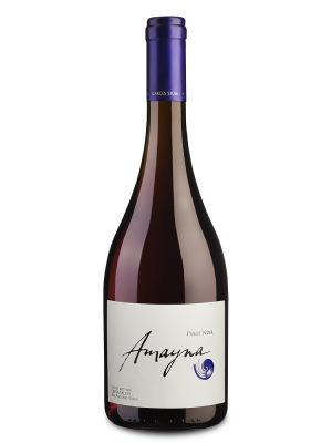 Garces Silva Amayna Pinot Noir