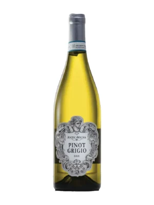 Antica Vigna Pinot Grigio delle Venezie DOC