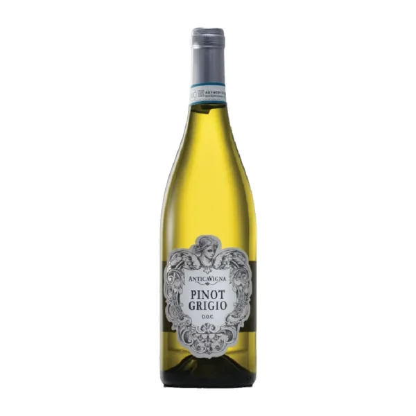 Antica Vigna Pinot Grigio delle Venezie DOC