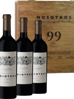 Susana Balbo Nosotros Single Vineyard Nómade Malbec