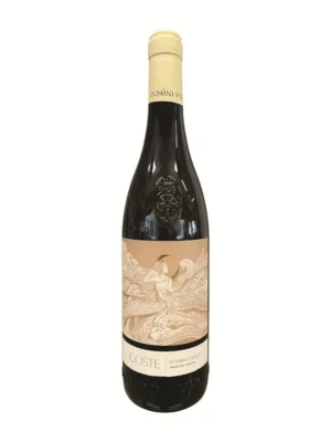 Domini Veneti Coste Soave Classico DOC